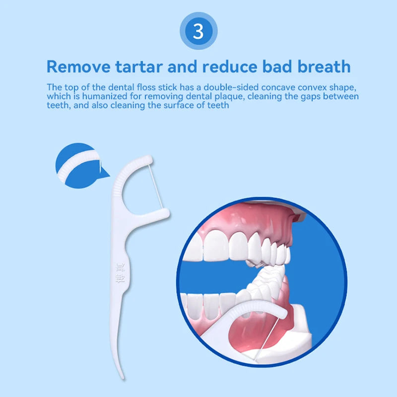 Portable Dental Floss Picks for Effective Daily Oral Cleaning - 5